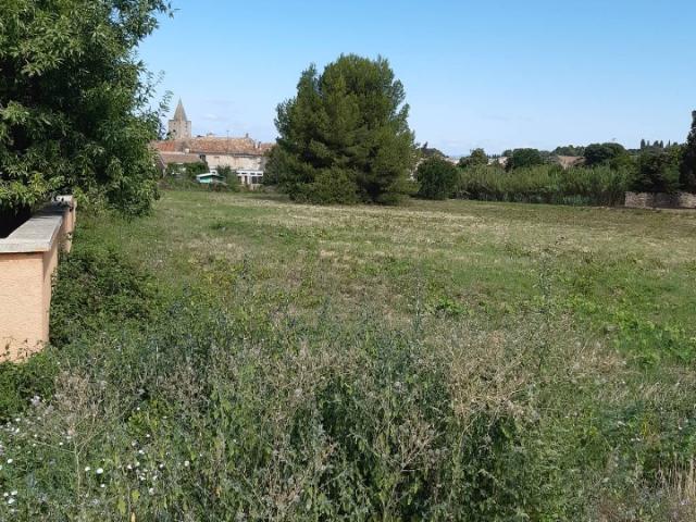 Saint Pargoire Vente Terrain 34