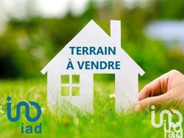 Saint Paul Cap de Joux Vente Terrain 81
