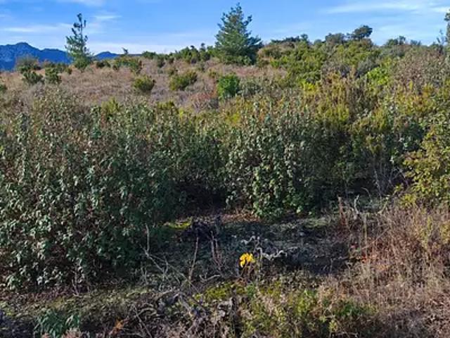 Saint Paul de Fenouillet 66220 Achat / Vente terrain