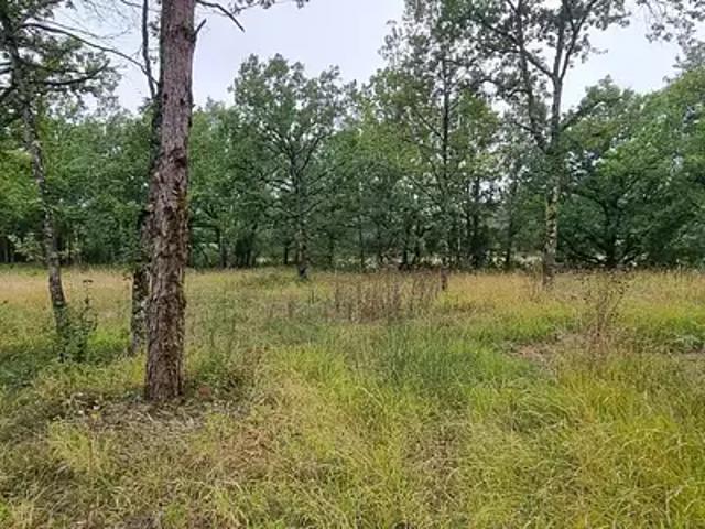 Saint Paul Flaugnac 46170 Achat / Vente terrain