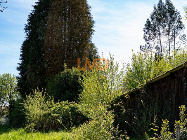 Saint Paul Vente Terrain 87
