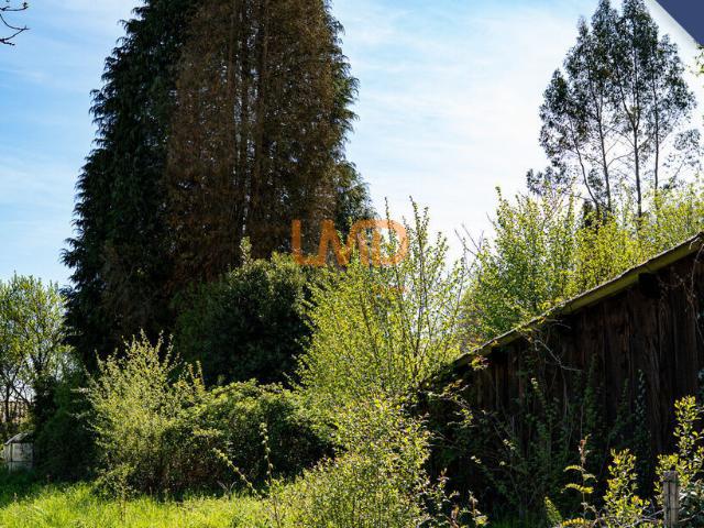 Saint Paul Vente Terrain 87