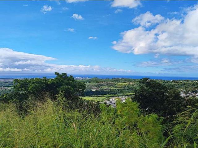 Saint Paul Vente Terrain 97