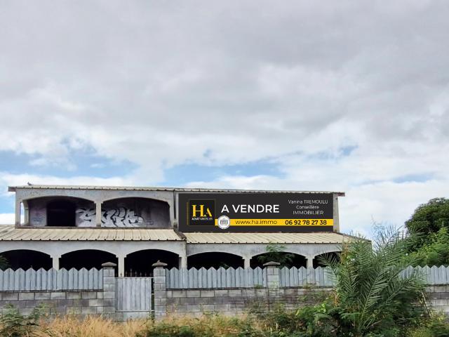 Saint Paul Vente Terrain 97