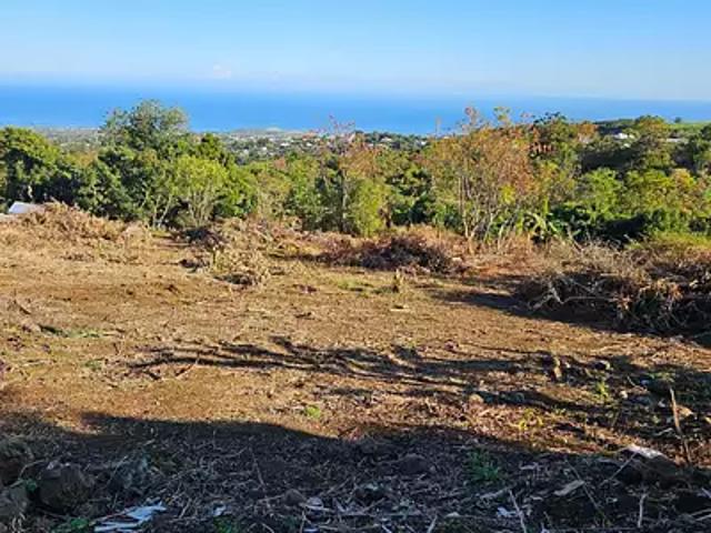 Saint Paul 97435 Achat / Vente terrain