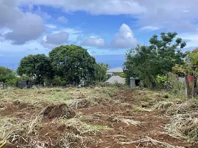 Saint Paul 97460 Achat / Vente terrain