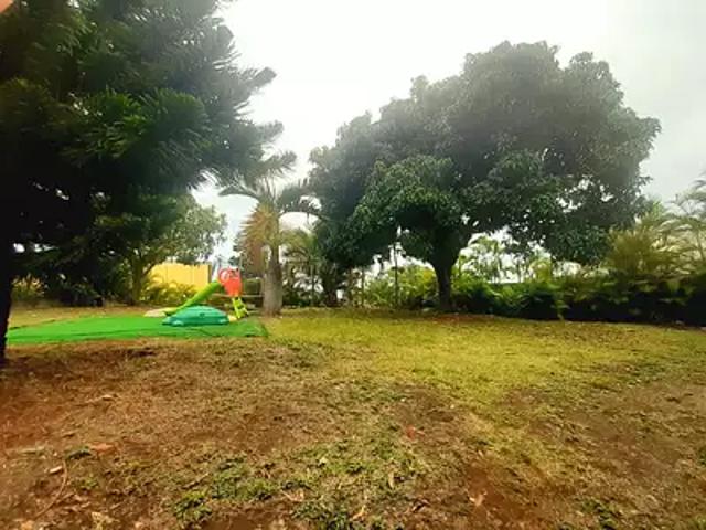 Saint Paul 97460 Achat / Vente terrain