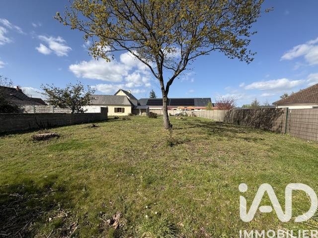 Saint Pavace Vente Terrain 72