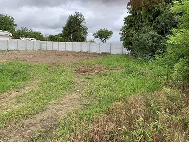 Saint Péravy la Colombe 45310 Achat / Vente terrain