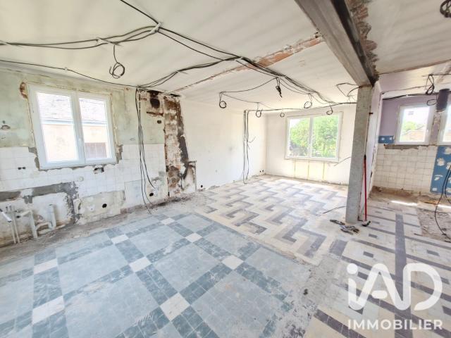 Saint Père sur Loire Vente Maison 45