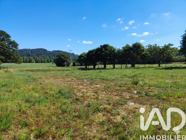 Saint Perreux Vente Terrain 56