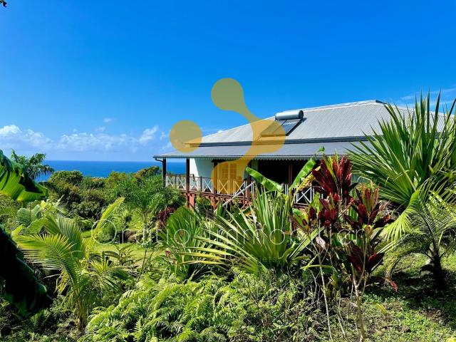 Saint Philippe Vente Villa 97