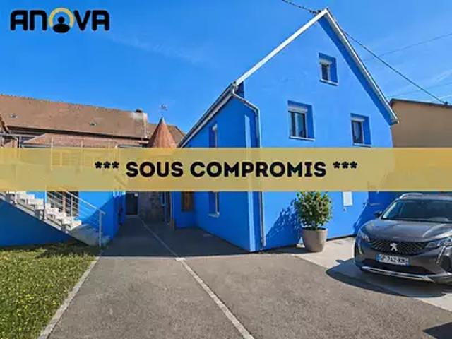 Saint Pierre 67140 Achat / Vente maison 10 pièces t10 piscine terrasse