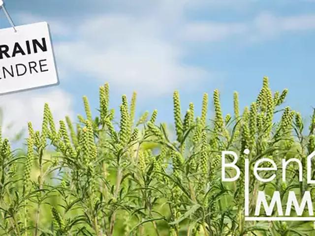 Saint Pierre 97410 Achat / Vente terrain