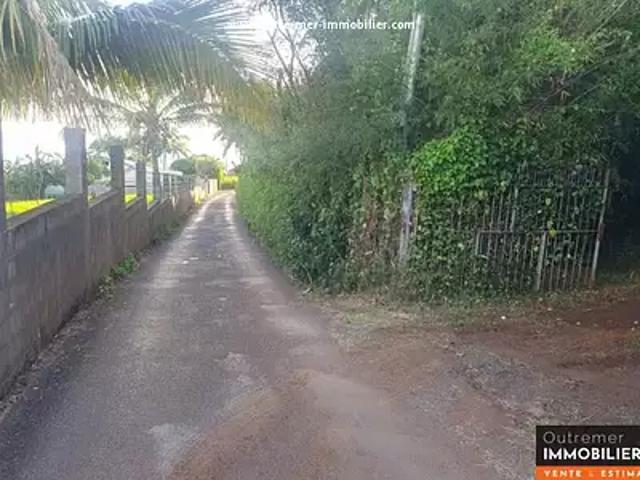 Saint Pierre 97410 Achat / Vente terrain