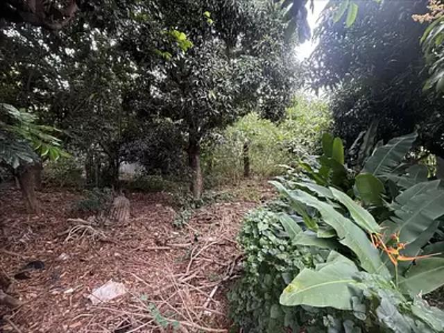 Saint Pierre 97410 Achat / Vente terrain