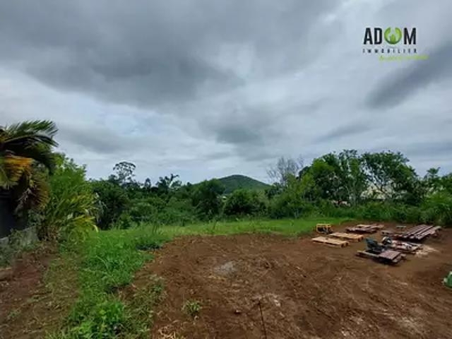 Saint Pierre 97410 Achat / Vente terrain