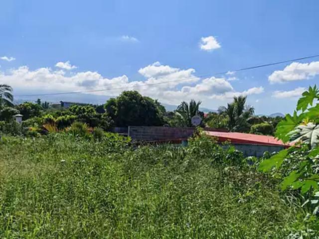 Saint Pierre 97432 Achat / Vente terrain