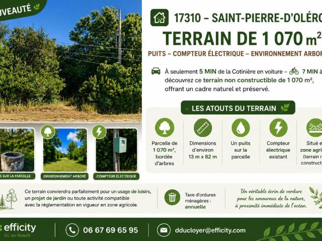 Saint Pierre d'Oléron Vente Terrain 17