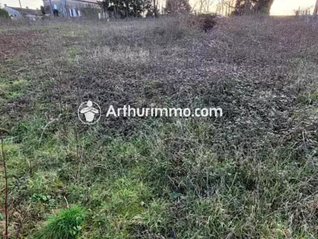 Saint Pierre de Juillers 17400 Achat / Vente terrain