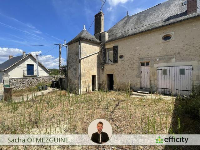 Saint Pierre de Maillé Vente Maison 86