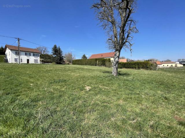 Saint Pierre lès Nemours Vente Terrain 77