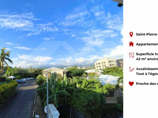Saint Pierre Vente Appartement 97
