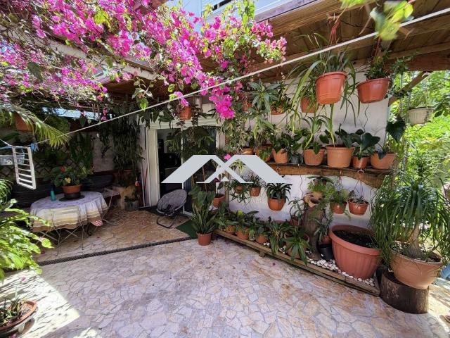 Saint Pierre Vente Appartement 97