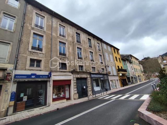 Saint Pons de Thomières Vente Immeuble 34