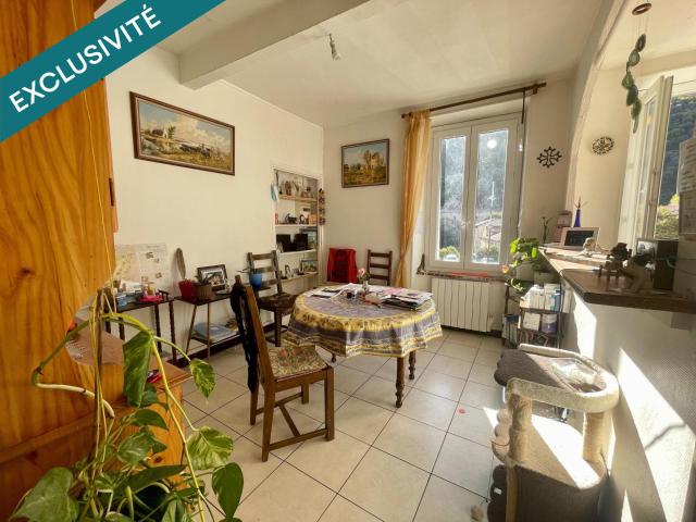 Saint Pons de Thomières Vente Immeuble 34