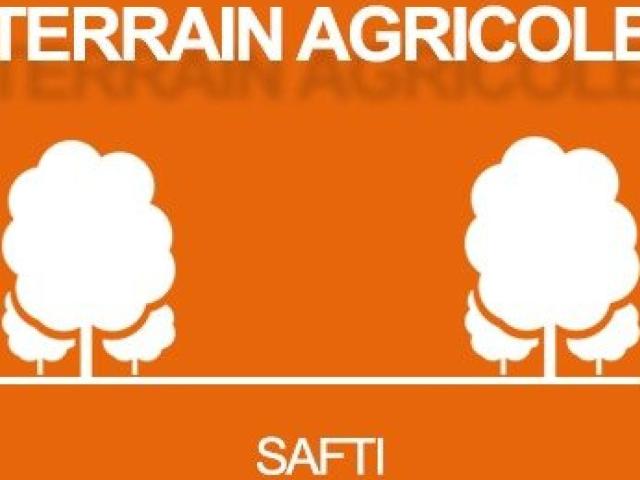 Saint Plantaire Vente Terrain 36