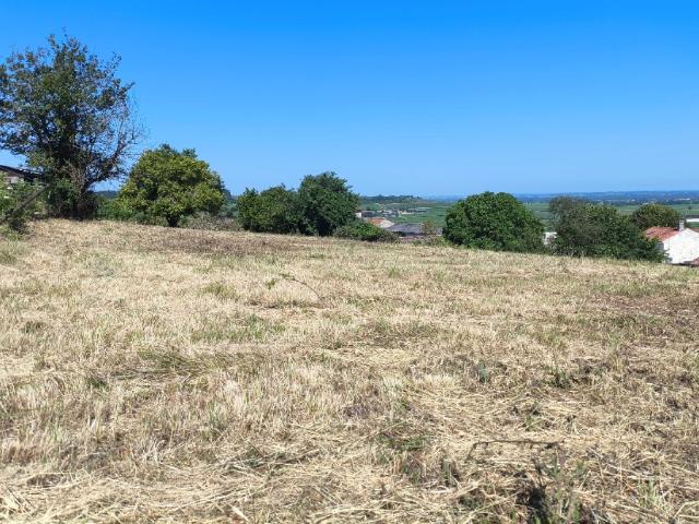 Saint Preuil Vente Terrain 16