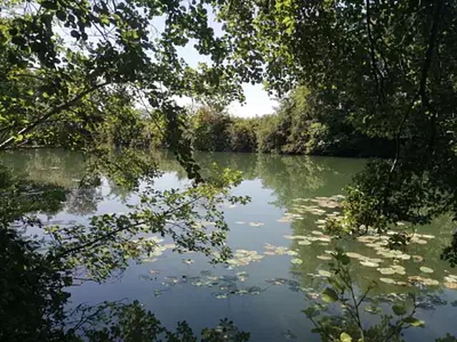 Saint Privat en Périgord 24410 Achat / Vente maison 4 pièces t4
