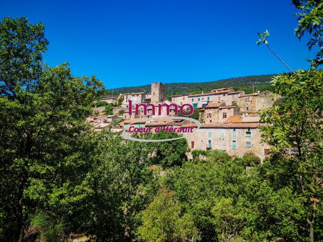 SAINT PRIVAT: maison de village en pierres avec cave et terrasse