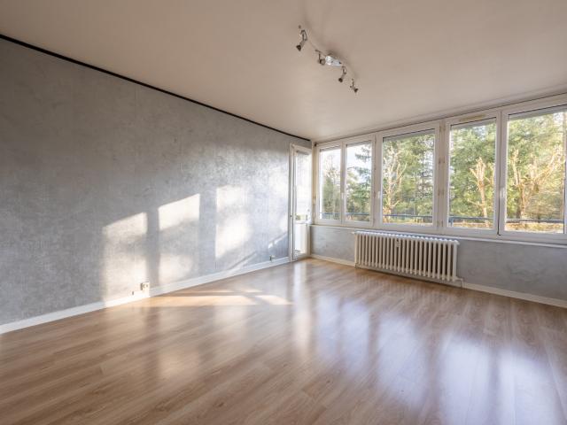 Saint Priest en Jarez Vente Appartement 42