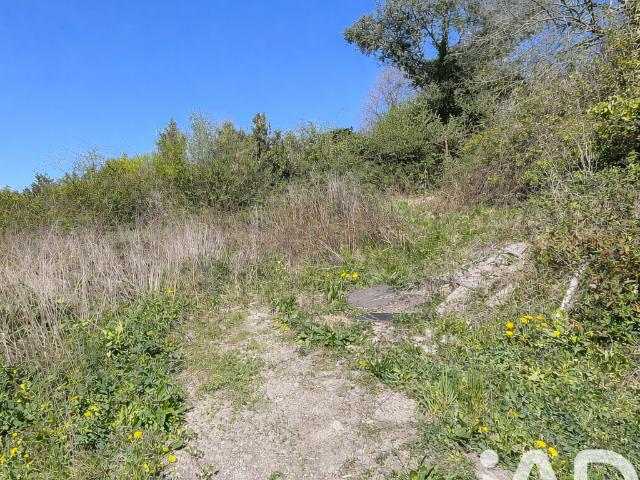 Saint Priest en Jarez Vente Terrain 42