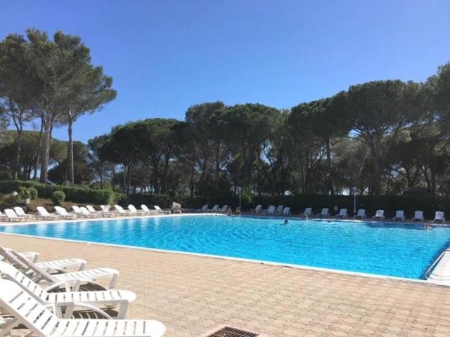 Saint Raphaël golf de Valescure appartement t1