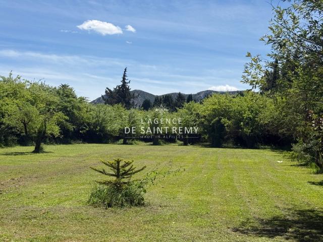 Saint Rémy de Provence Vente Maison 13