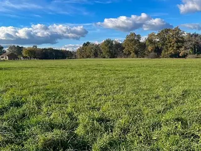 Saint Rémy 24700 Achat / Vente terrain
