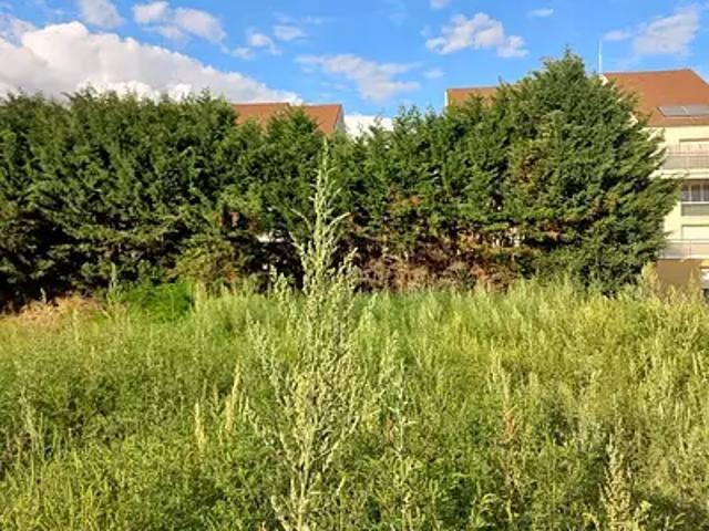 Saint Rémy 71100 Achat / Vente terrain