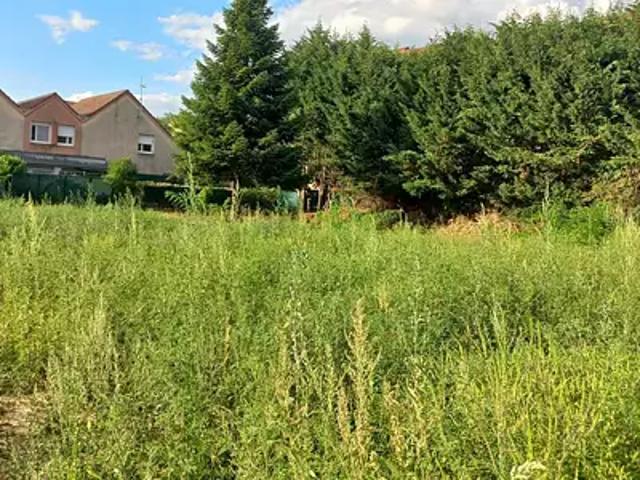 Saint Rémy 71100 Achat / Vente terrain