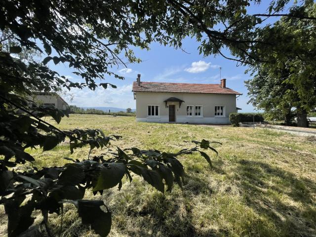 Saint Romain la Motte Vente Maison 42