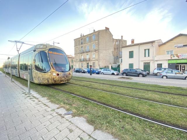 Saint Roch Studio 14,44m² FDI Services Immobiliers