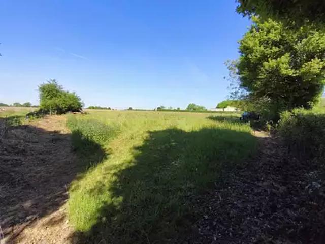 Saint Sauvant 86600 Achat / Vente terrain