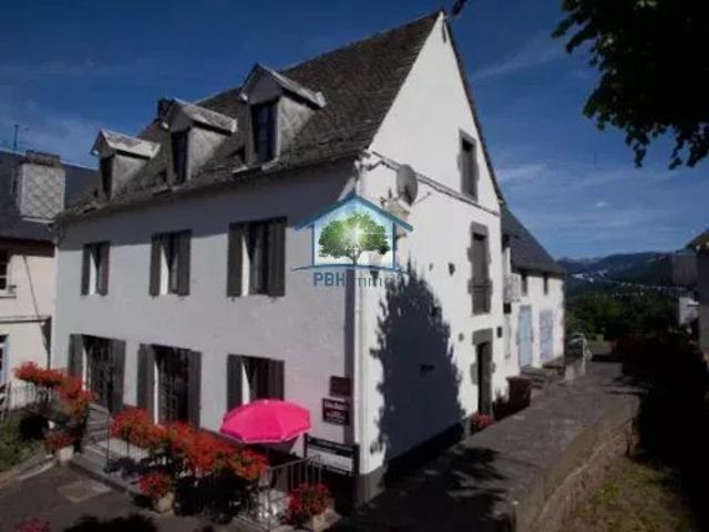 GRANDE MAISON DE CARACTÈRE AU CŒUR DU SANCY – GÎTE OU MAISON FAMILIALE