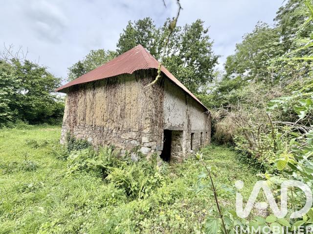 Saint Sauveur Lendelin Vente Maison 50