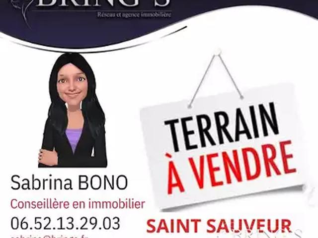 Saint Sauveur 38160 Achat / Vente terrain