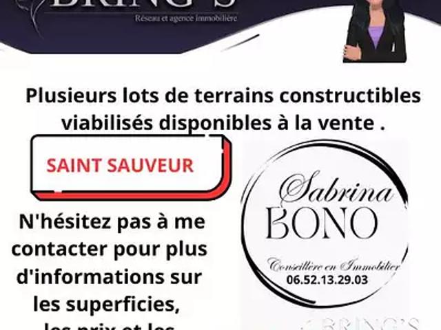 Saint Sauveur 38160 Achat / Vente terrain