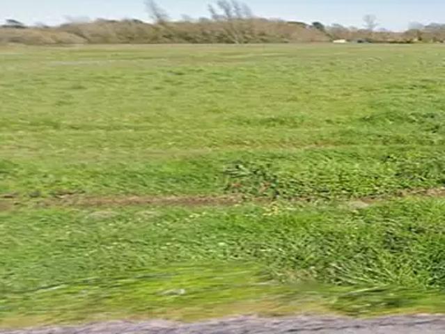 Saint Savin 33920 Programme neuf terrain neuf à vendre
