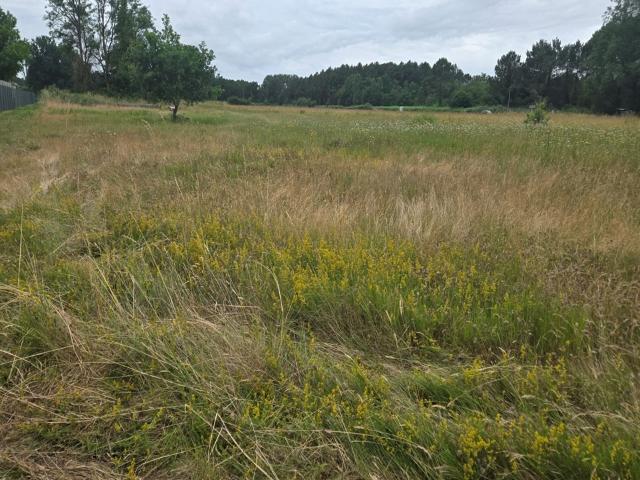 Saint Savin Vente Terrain 33